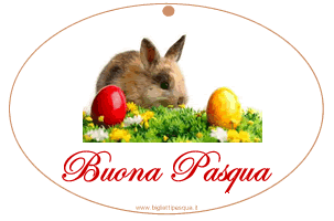 Biglietti Pasqua coniglietto Biglietti Pasqua coniglietto